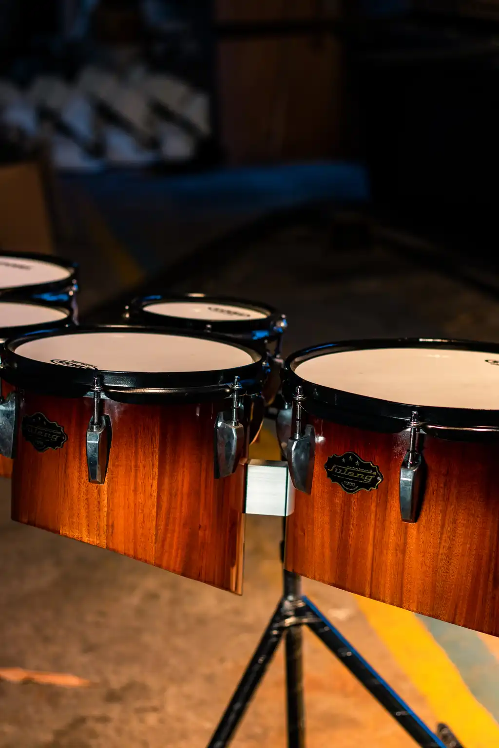 Multitoms Thumbnail 3