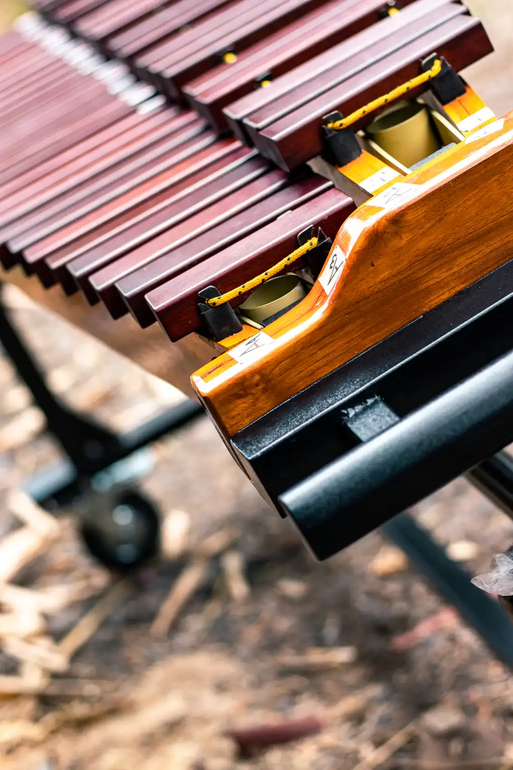 Xylophone Thumbnail 3