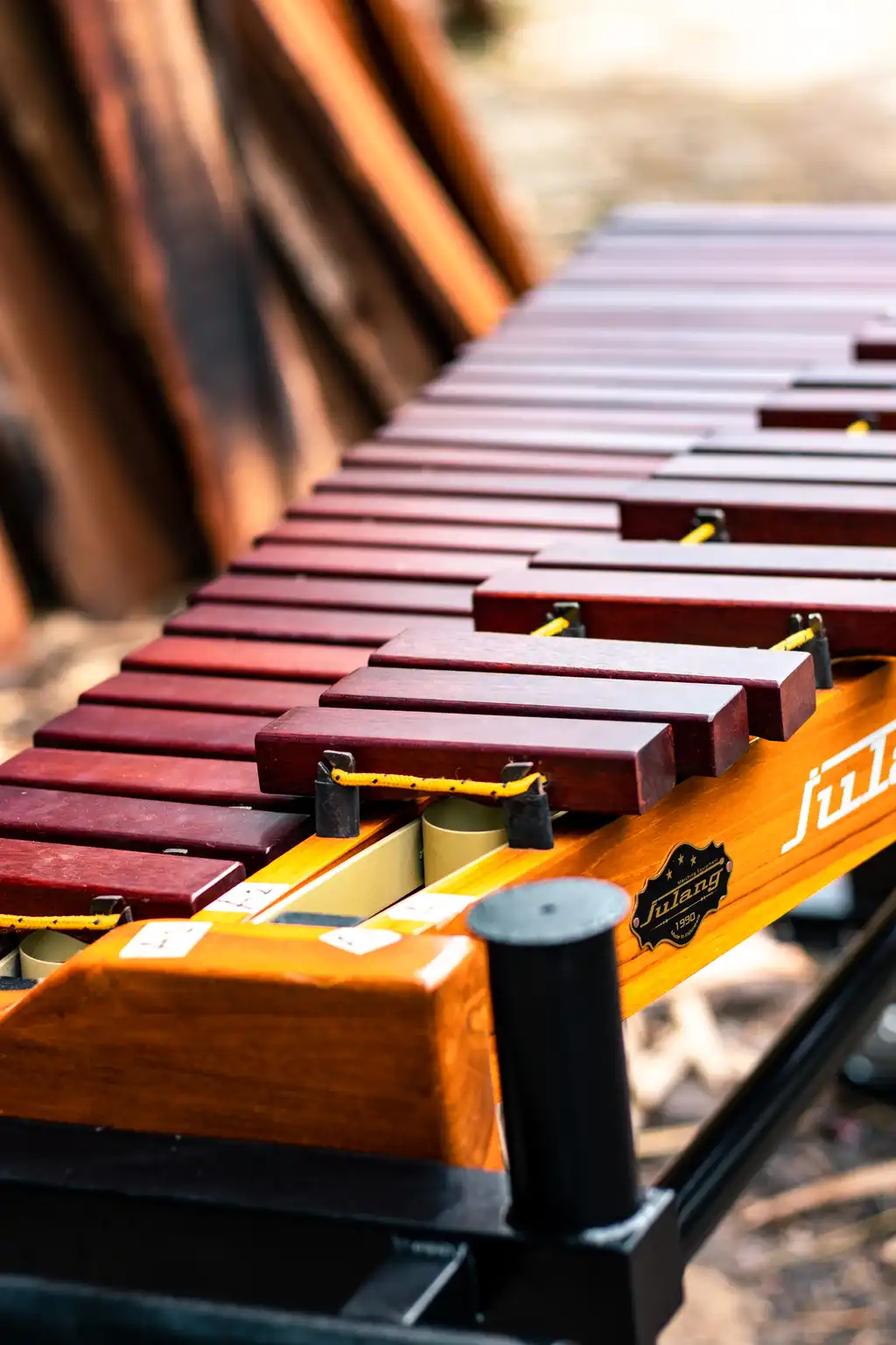 Xylophone Thumbnail 5